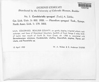 Image Associated With the Occurence